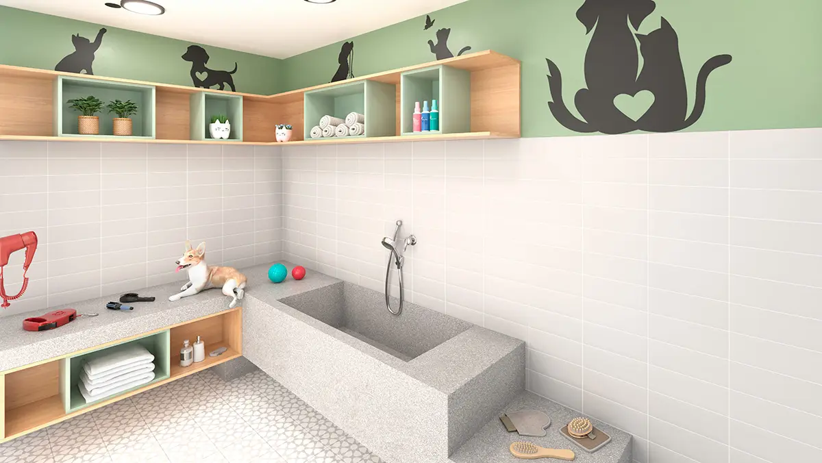 Pet Wash